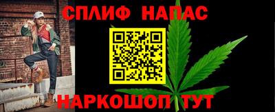 прущие грибы Вышний Волочёк
